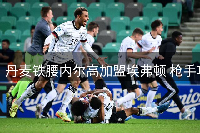 丹麦铁腰内尔高加盟埃弗顿 枪手功勋中场开启新征程