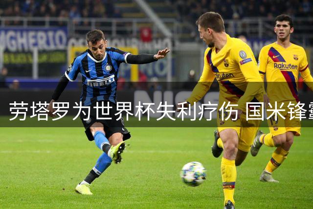 劳塔罗为世界杯失利疗伤 国米锋霸蓄势待发新赛季
