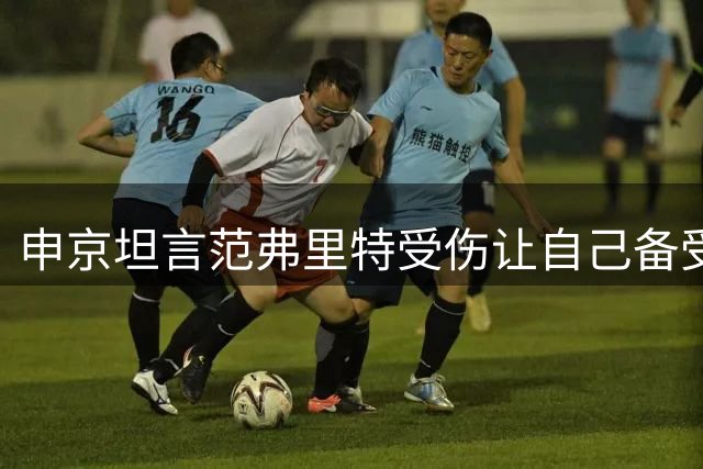 申京坦言范弗里特受伤让自己备受打击，坦言"世界崩塌