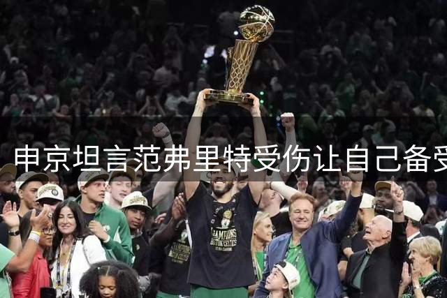 申京坦言范弗里特受伤让自己备受打击，坦言"世界崩塌